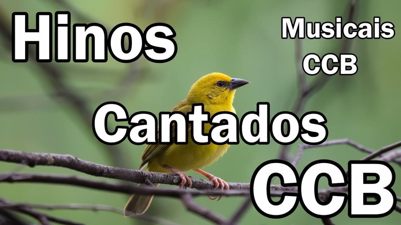 HINOS CCB CANTADOS -  06/01/2026 - Musicais CCB -  352,355,369,385,395,405,441,452,480........