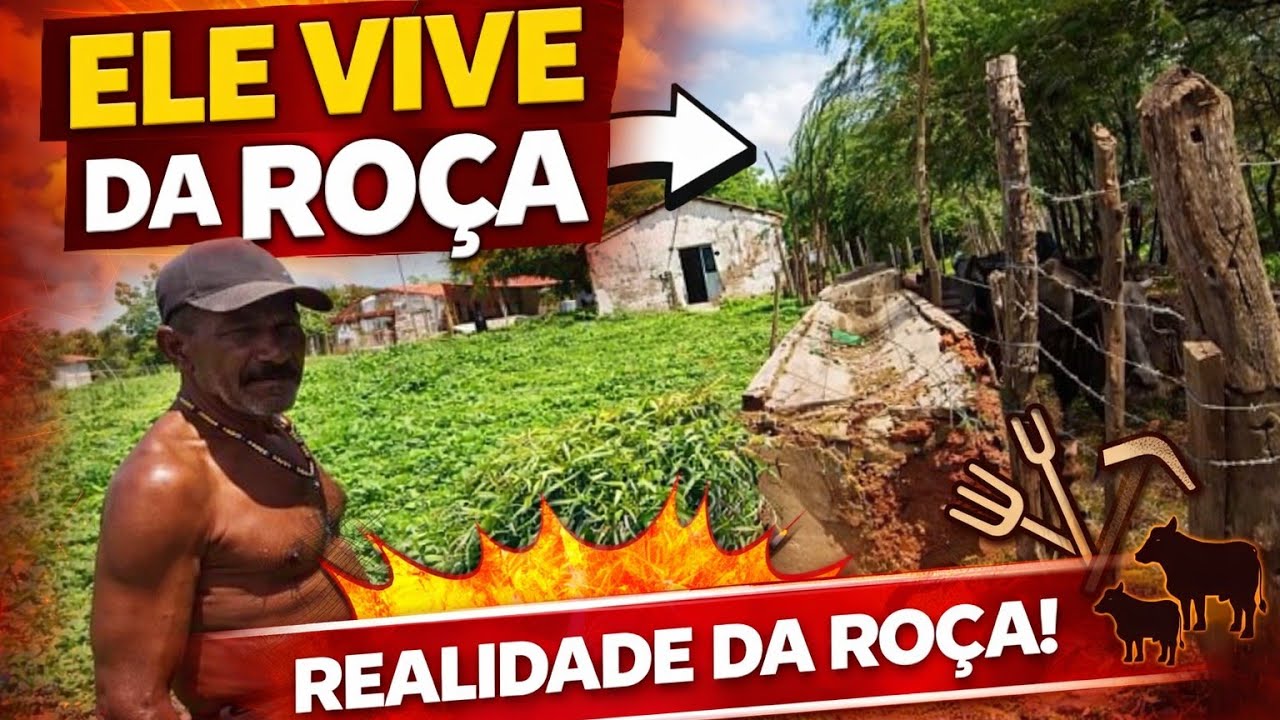 ELE VIVE ISOLADO HÁ 20 ANOS E TIRA O SEU SUSTENTO DA ROÇA