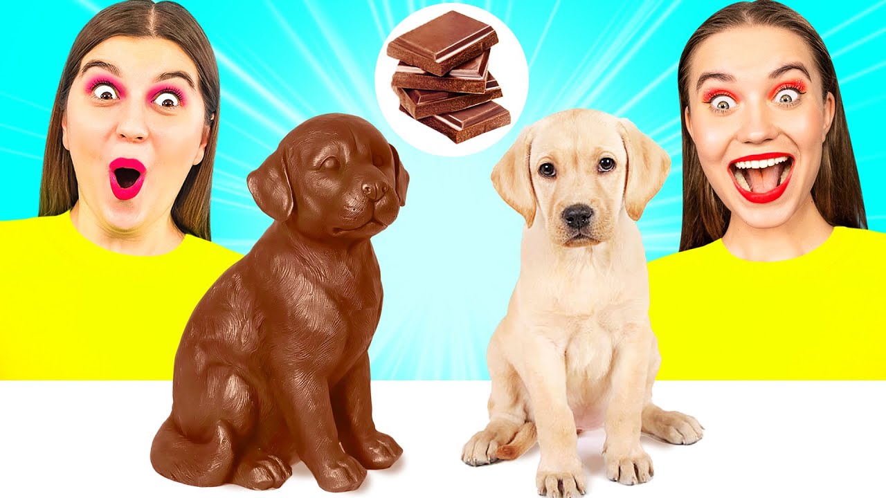 Desaf&iacute;o De Comida Real vs. De Comida Chocolate #5 por DaRaDa Challenge