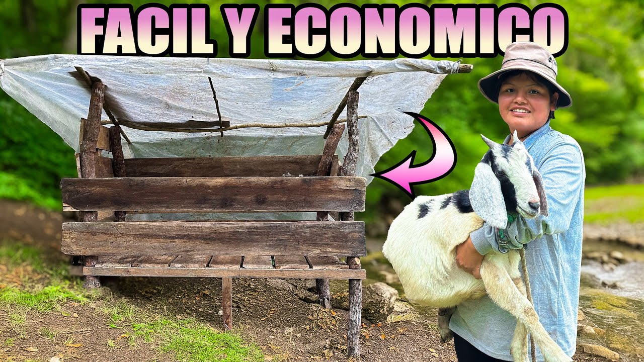 Construi una casa de madera para mi chivo en medio de la montaña - NATHALIA