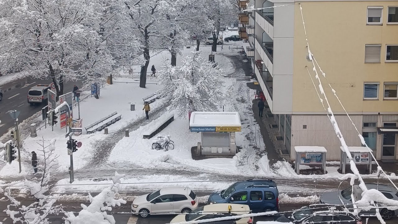 live snowfall today
