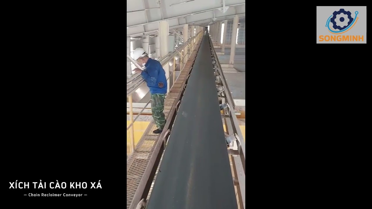 X&iacute;ch tải c&agrave;o kho x&aacute; - Chain reclaimer conveyor