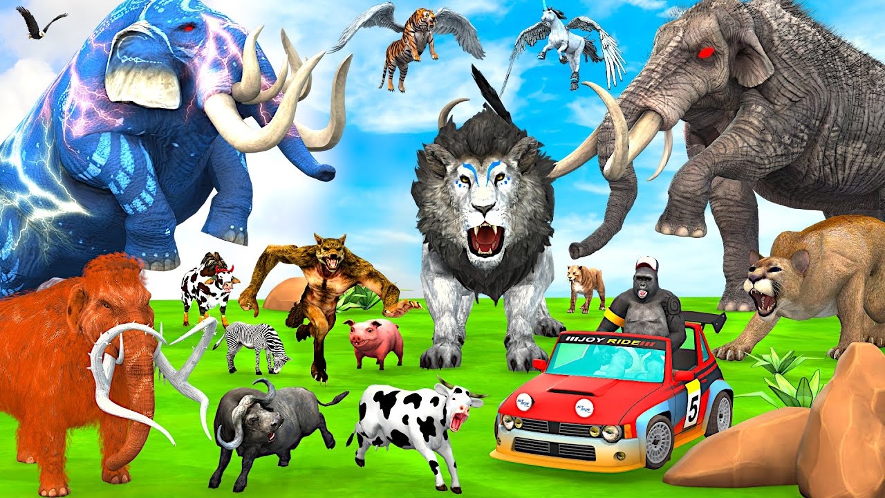 5 Giant Elephant Cow vs Giant Angry Indian Mammoth vs 5 Giant Lion Tiger Bull Saved By Wolly mammoth