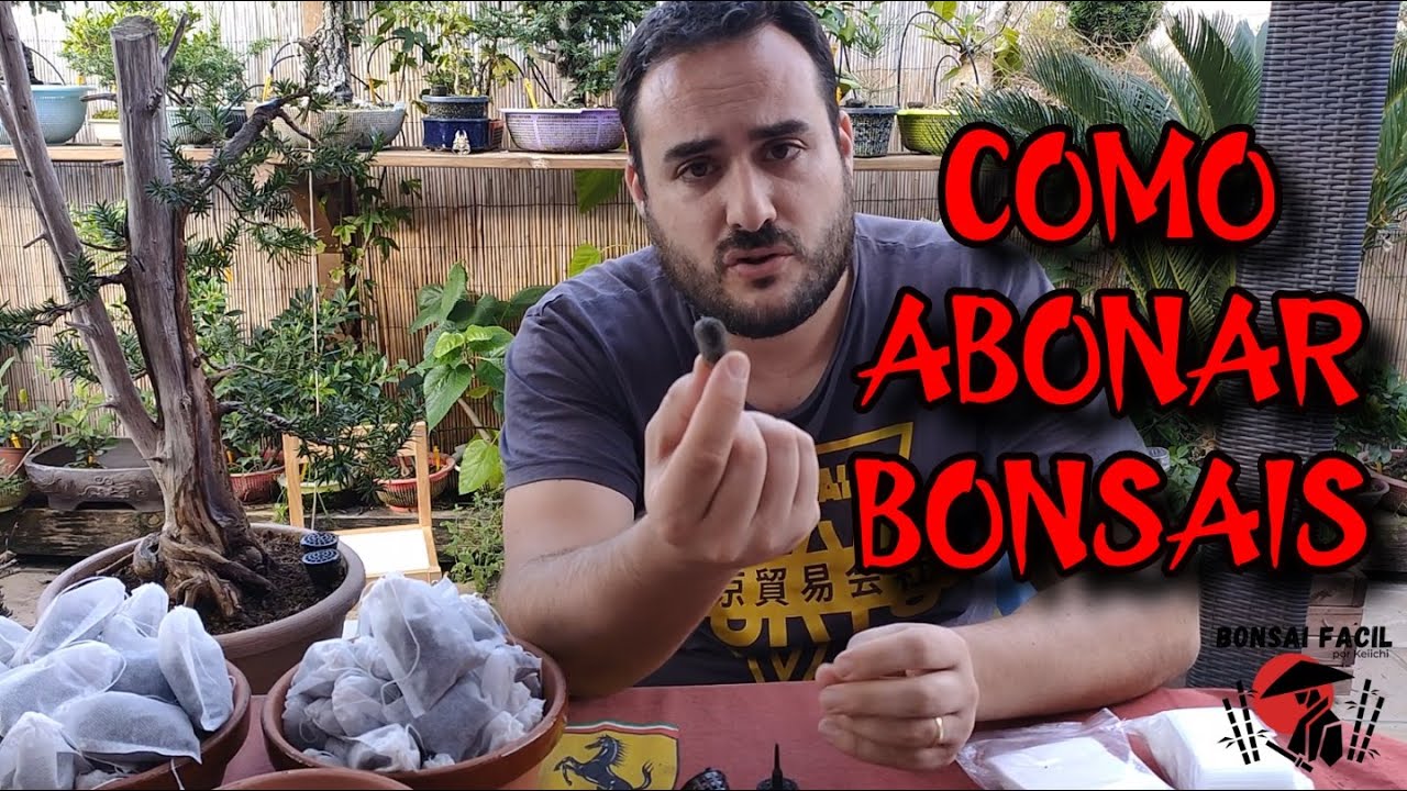 Como abonar bonsais con bolsas - Bonsai Facil