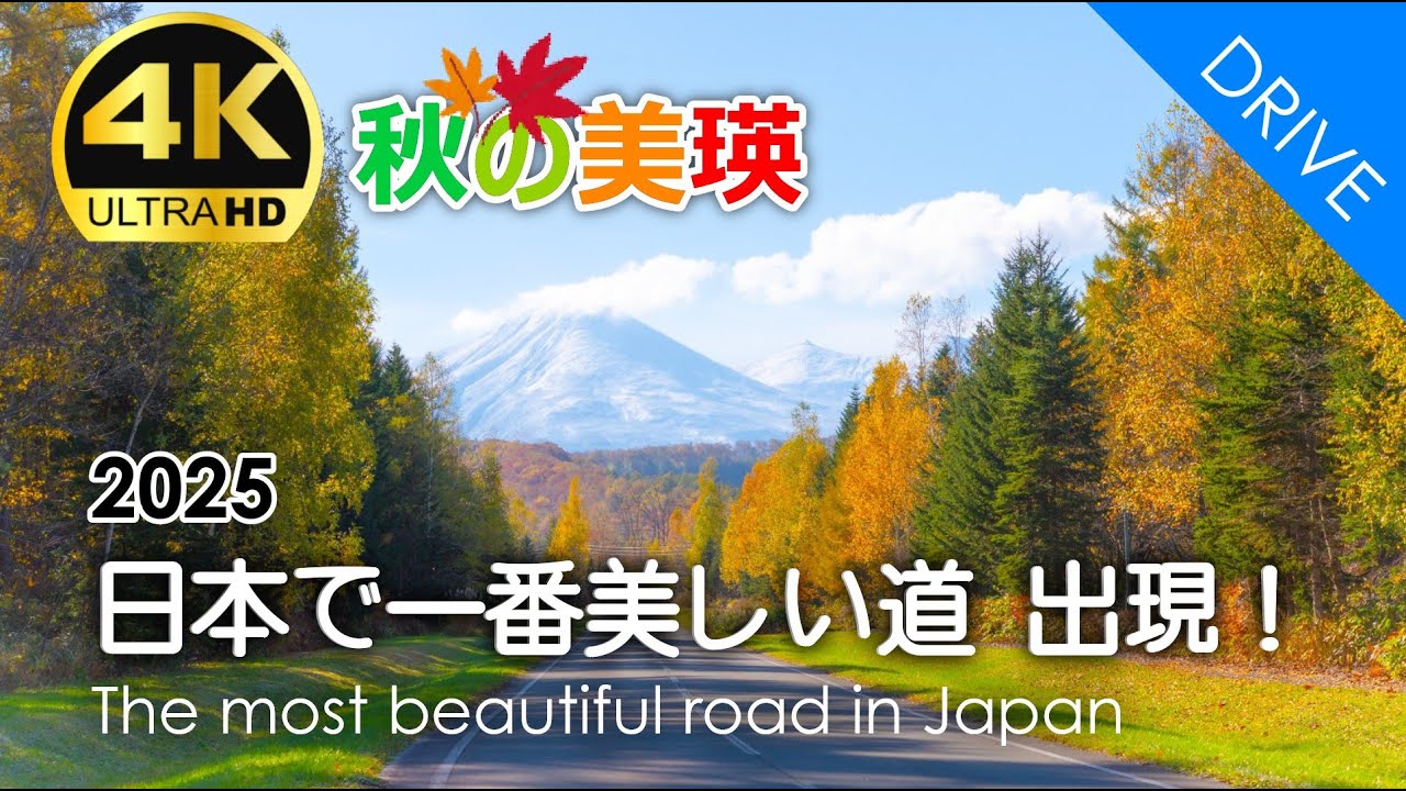 【幻の絶景】日本で一番美しい道出現！晩秋限定の絶景ルート+感動の青い池を空撮でお届け