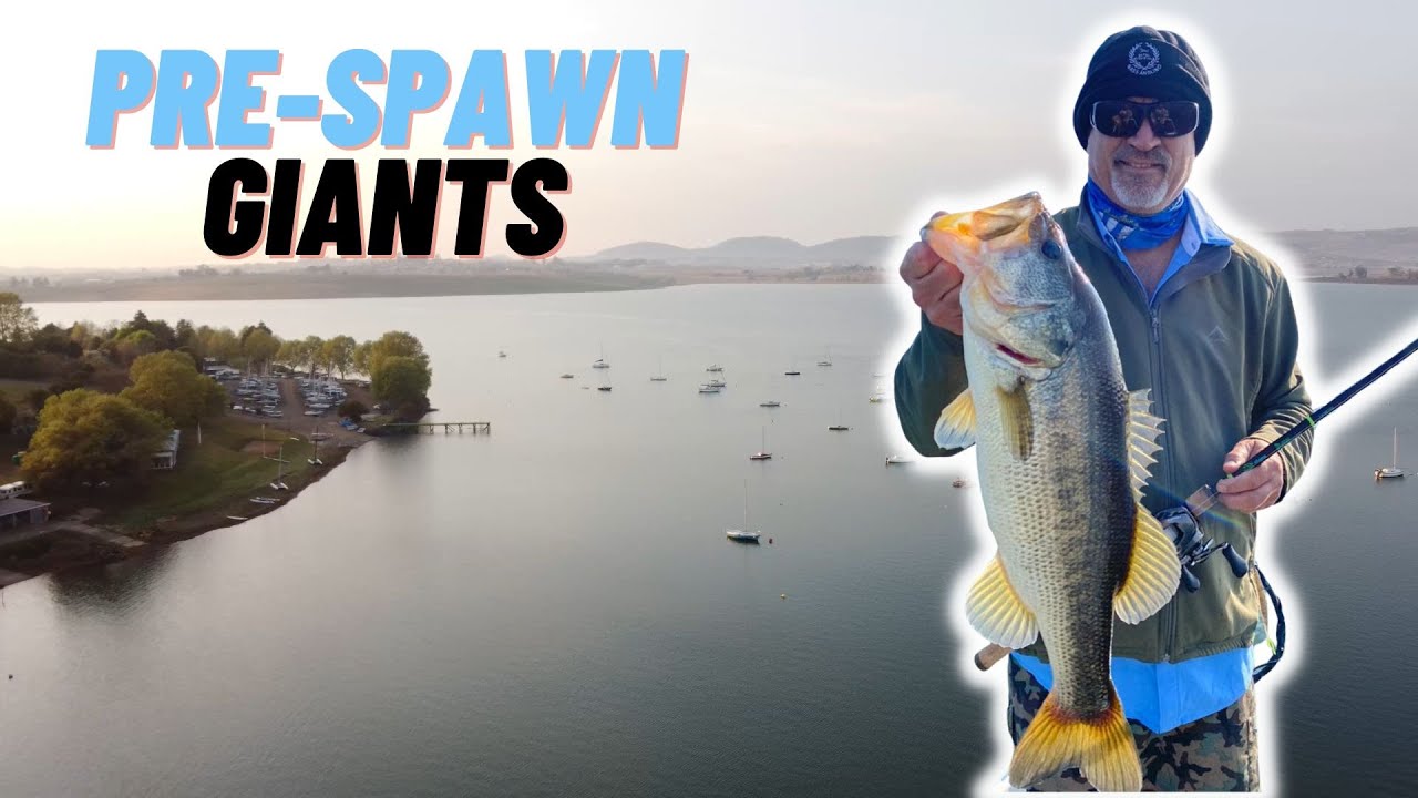 Chasing Giant pre spawn bass at Midmar dam South Africa