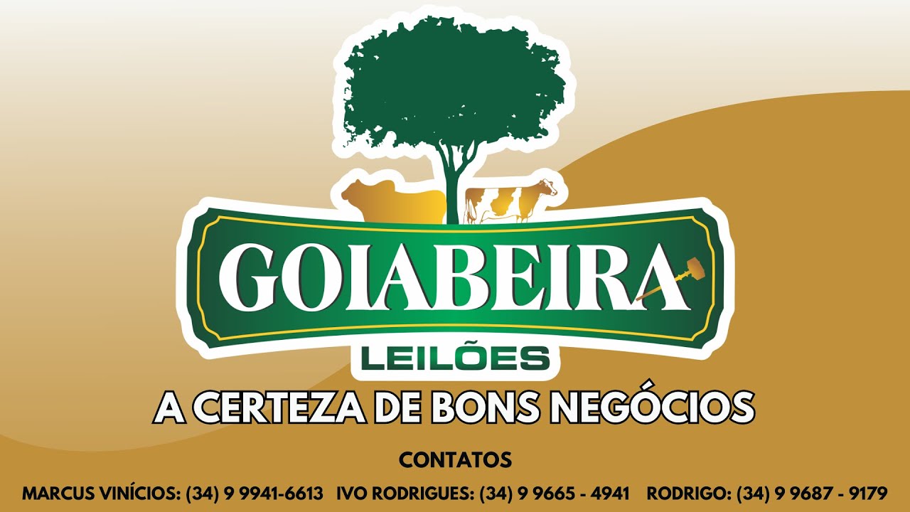 Leilão Misto de Gado  - 19.02.2026 na Goiabeira Leilões