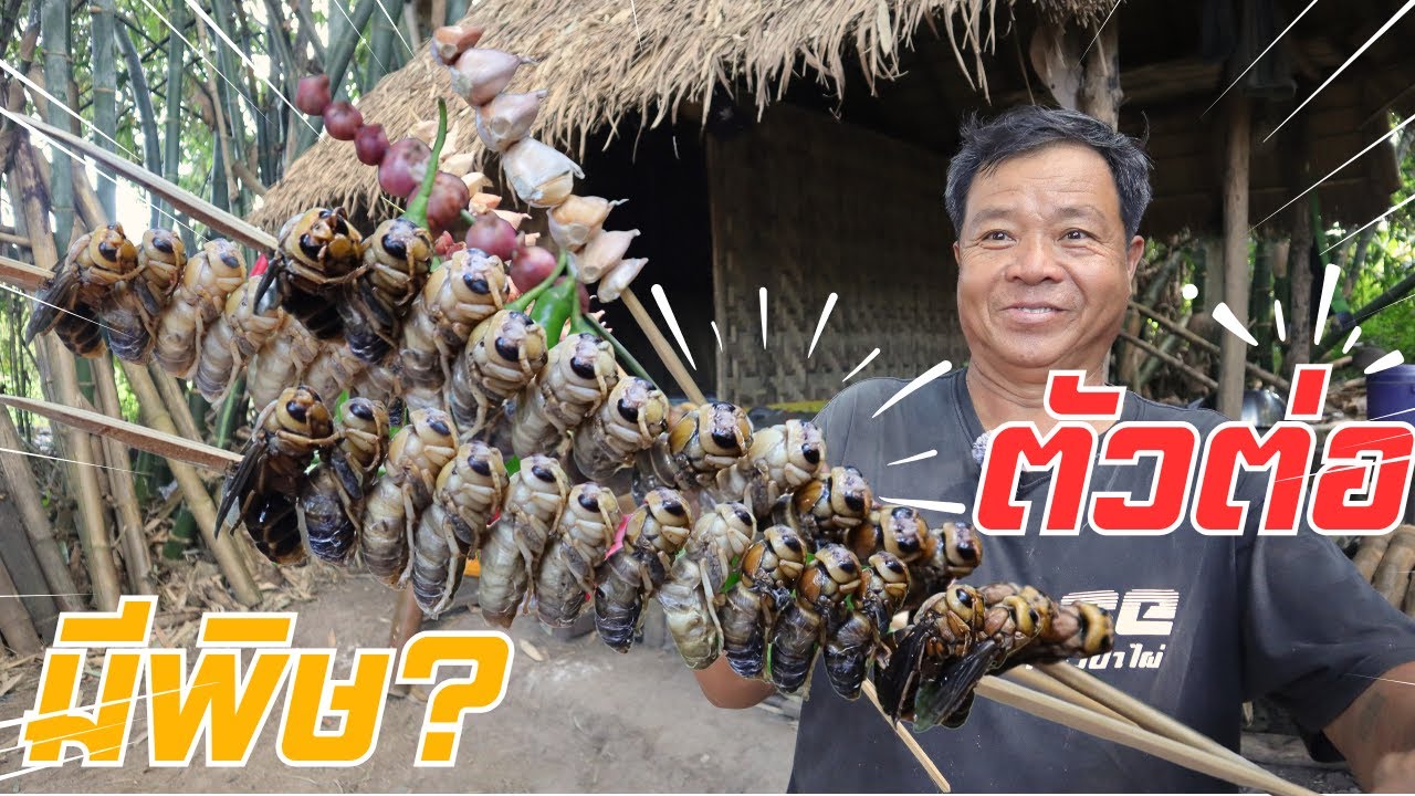 แปลกอีกแล้ว!! คนอื่นไม่กิน แต่พ่อกิน กินตัวต่อยักษ์