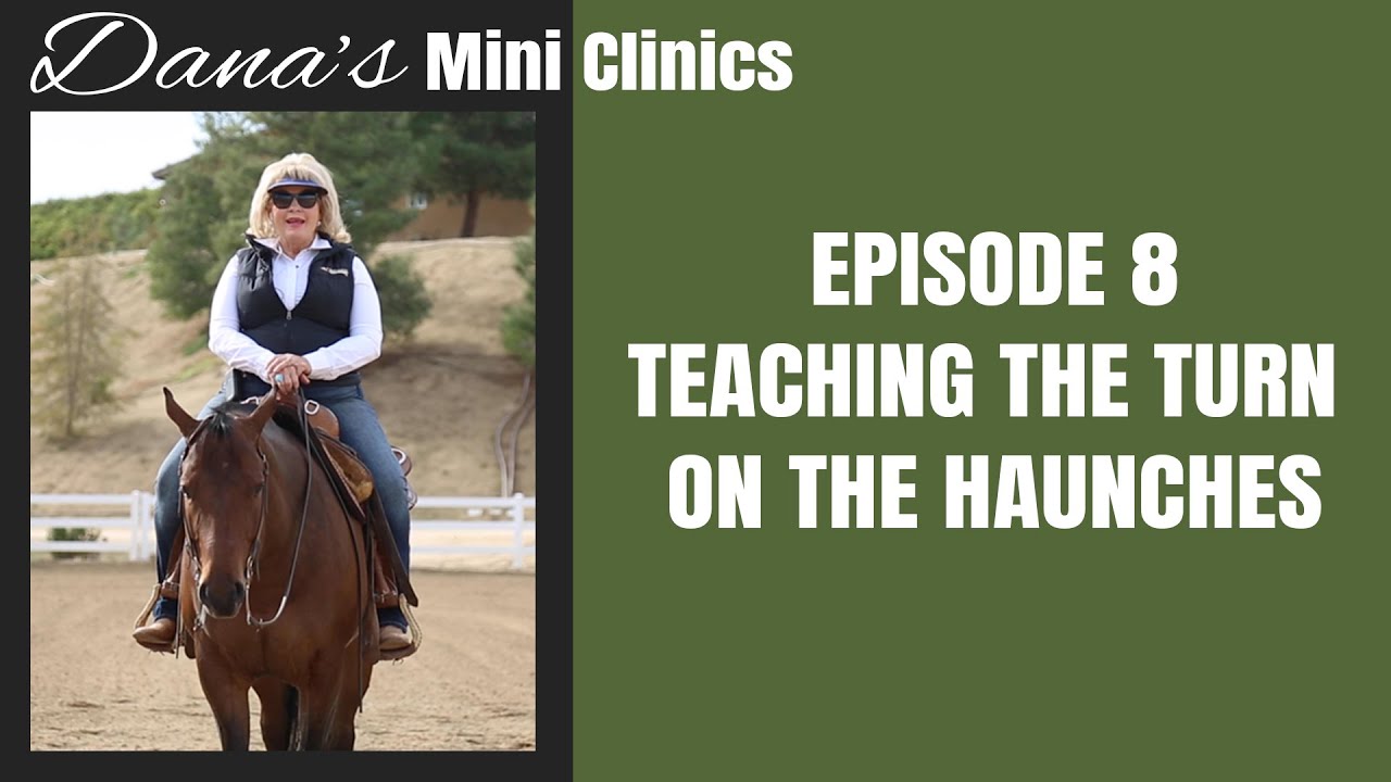 Dana's Mini Clinic | Episode 8 - Teaching the Turn on the Haunches