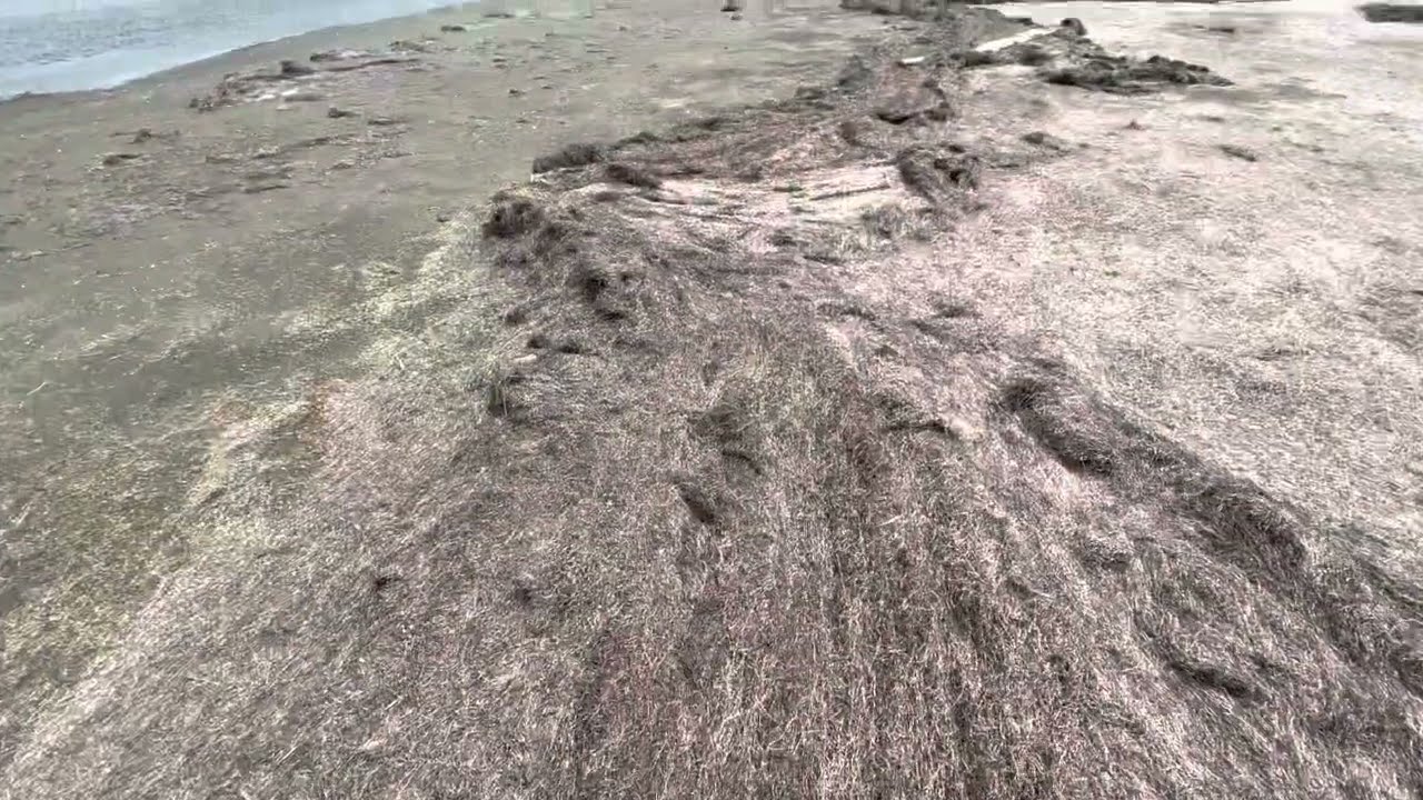 Гармония с Природой. Часть 1 [Самир Али]
