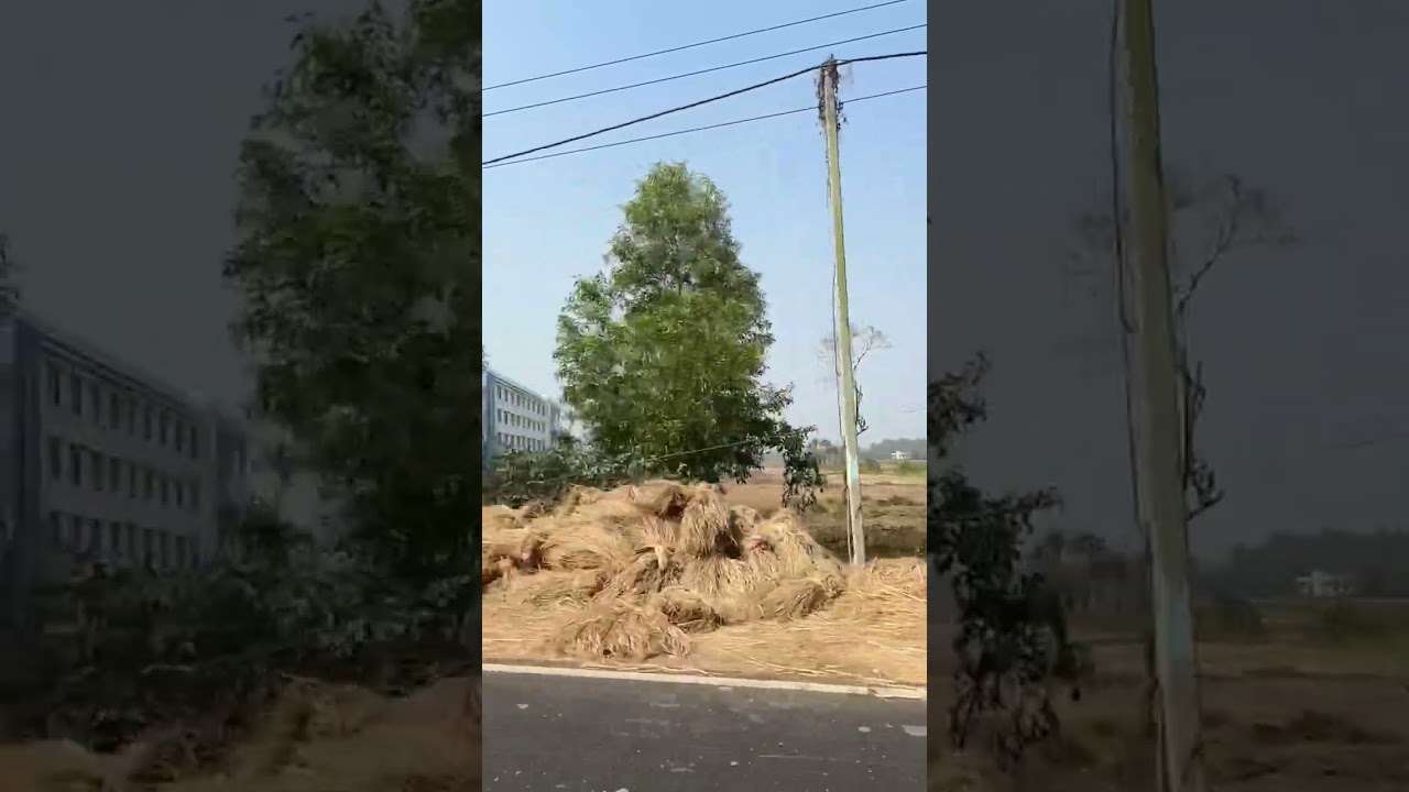 #короткоевидео