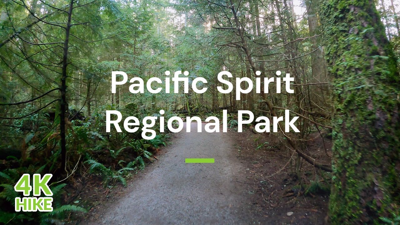 【4K】Walk Pacific Spirit Regional Park - Vancouver Trails