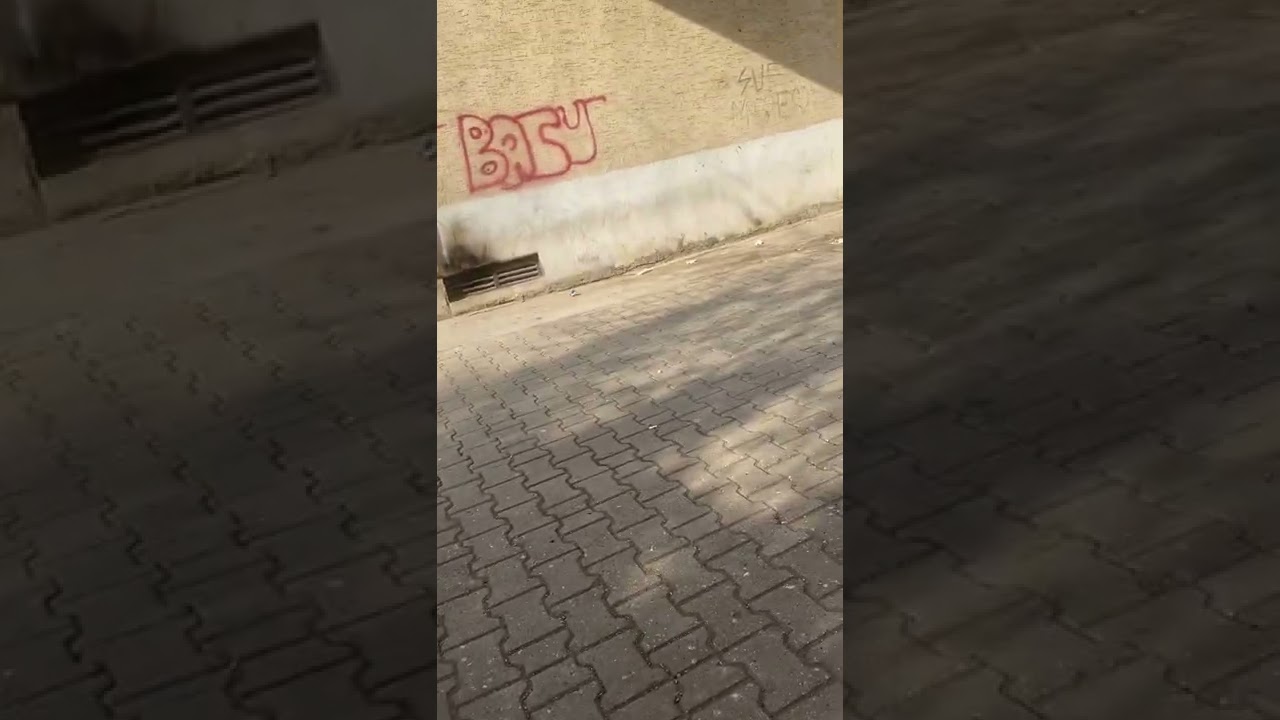 Deniz sitesi bakımsız zararlı pis ahır sitesi🤢