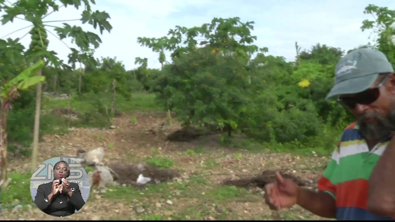Crooked Island Farmer Passionate About Farming