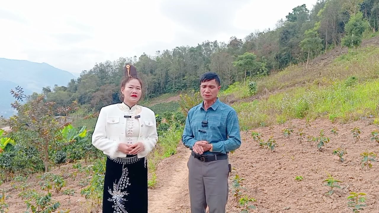 Hát thái song ca giao duyên hay#hatthai #hatthaisonla