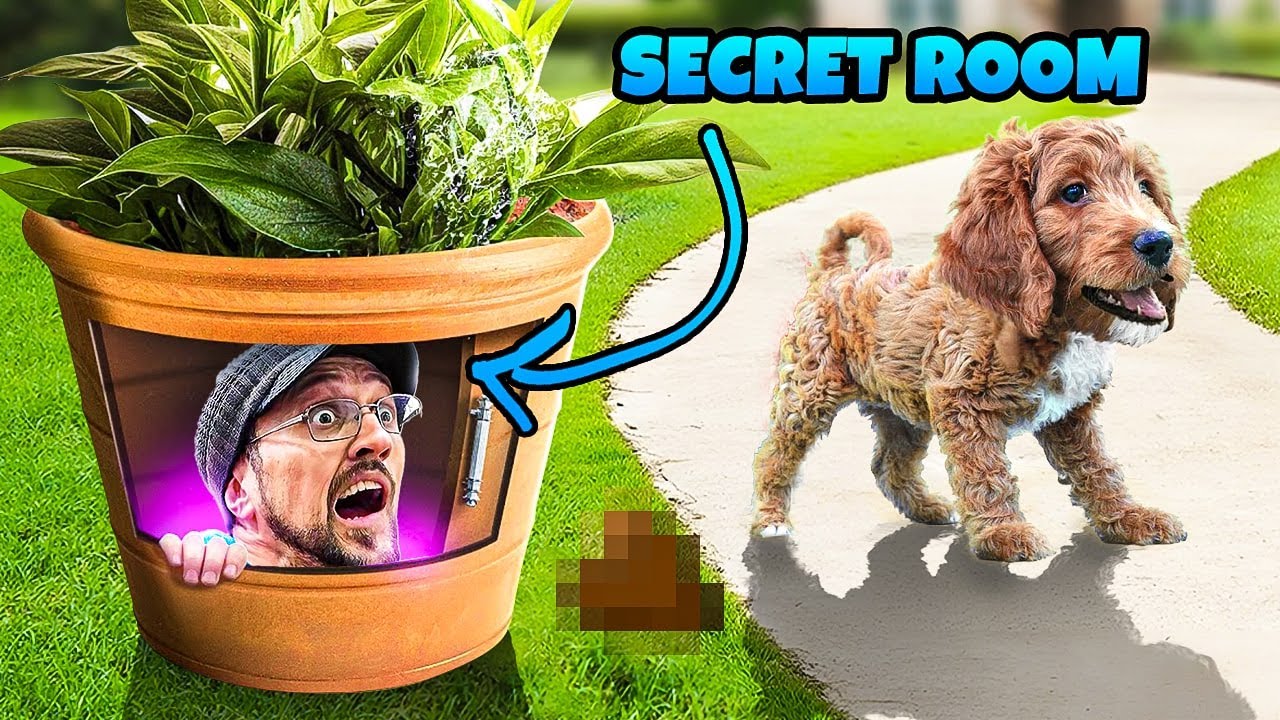 Crazy Reveals from Our Secret Room Adventures! | FV Family Top Videos
