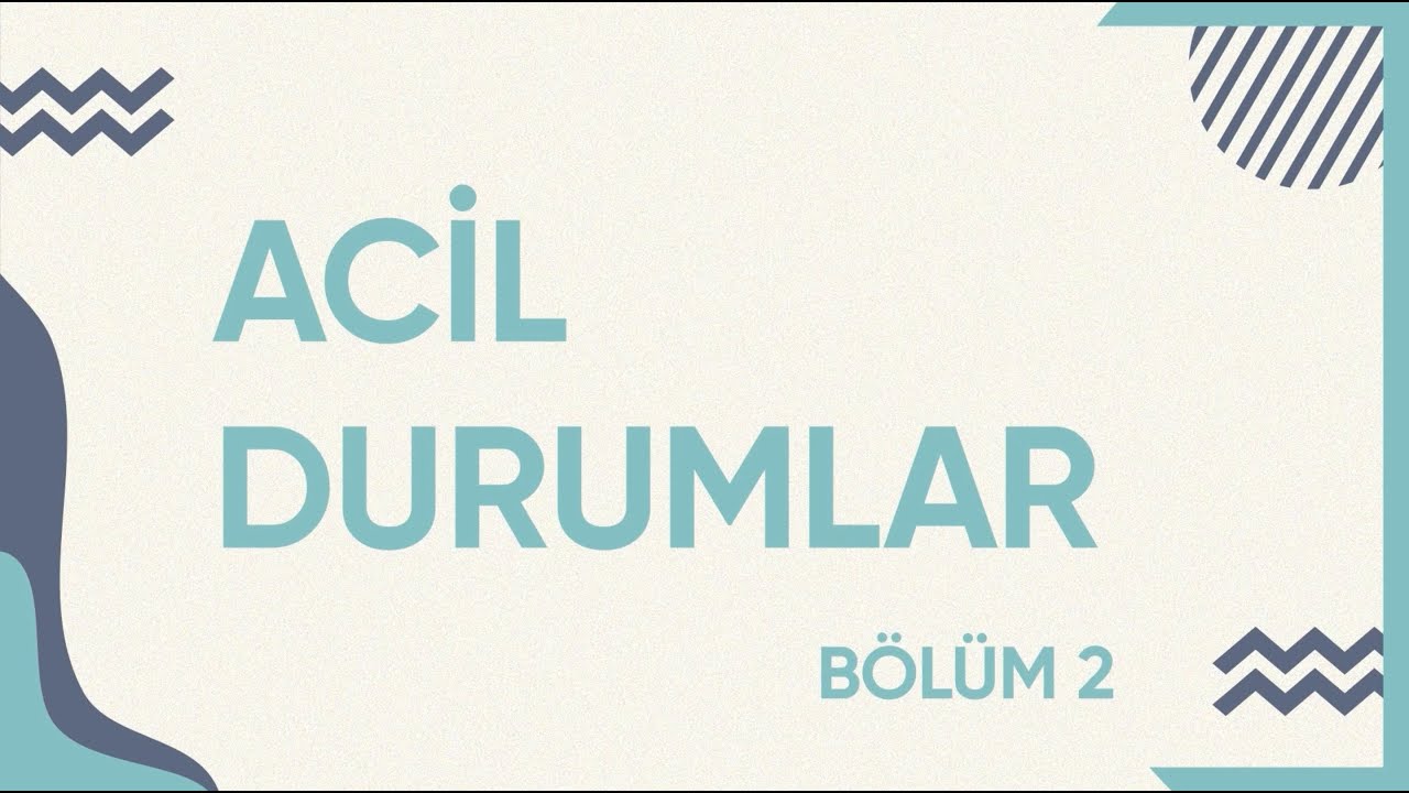 DI DIYABETÊ DE REWŞÊN LEZGÎN 2. BEŞ