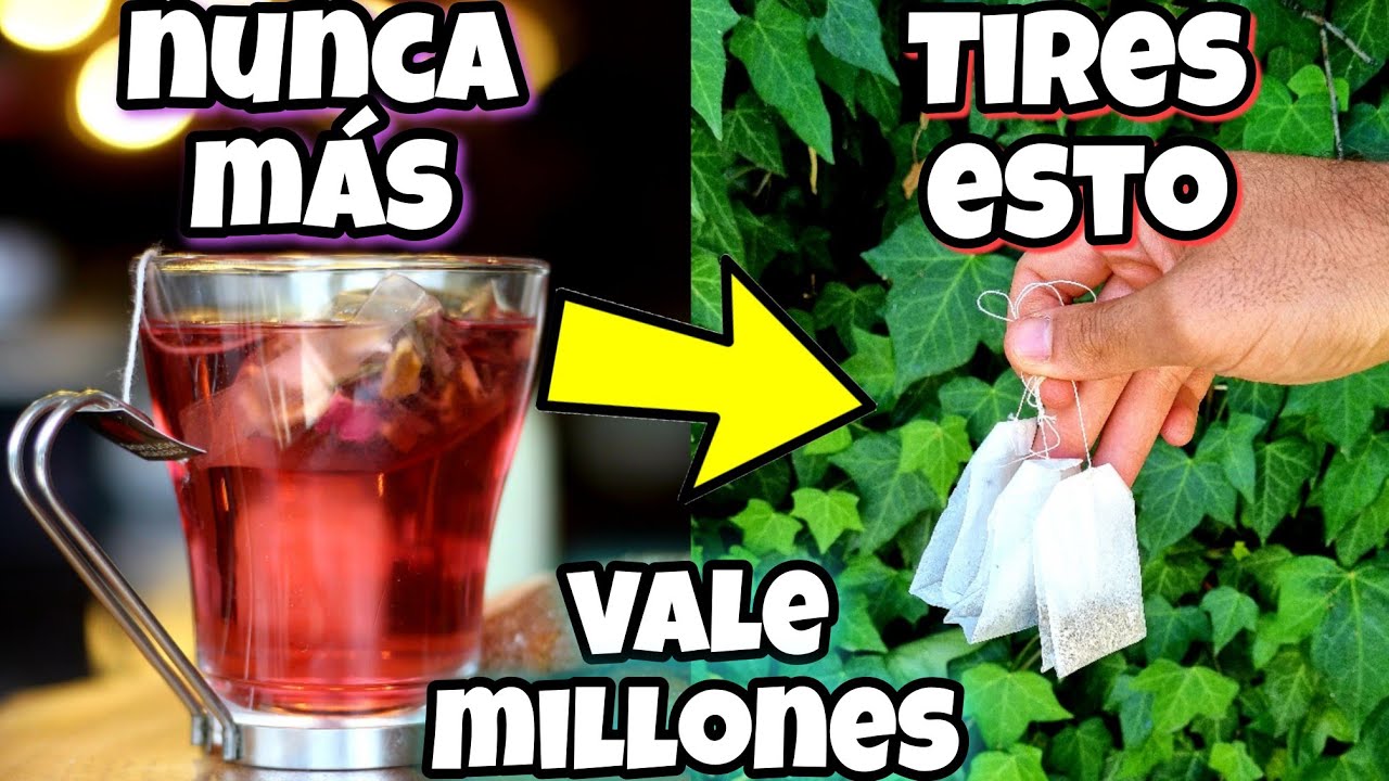 NO VOLVERÁS A TIRARLAS después de ver ESTO! Bolsas de té usadas valen oro en plantas! Huerto urbano