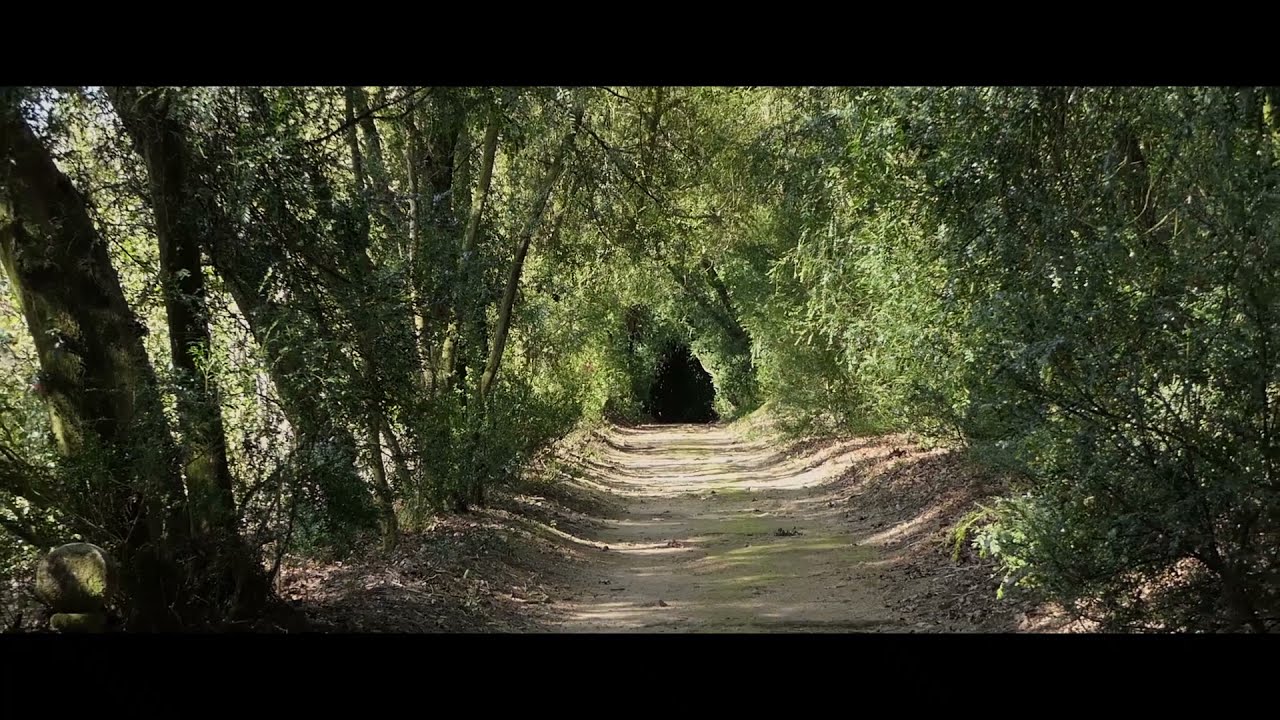 PAZO DE SANTA CRUZ DE RIVADULLA , Vedra (A Coru&ntilde;a)