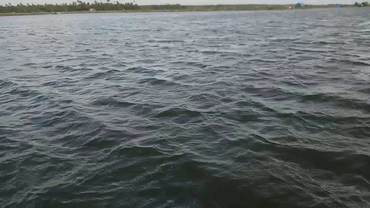 Cherai Backwater walk way
