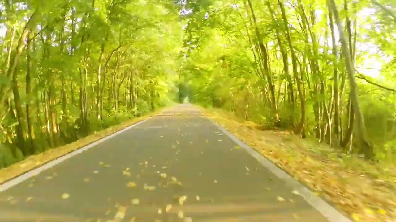 Bahntrassenradeln mit dem Solarvelo - Lucka nach Meuselwitz (TH 41)