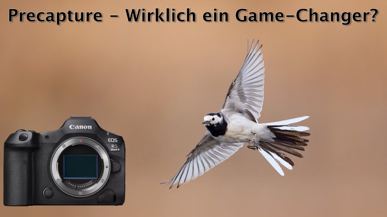 Precapture - How important is it really (and when you should use it)