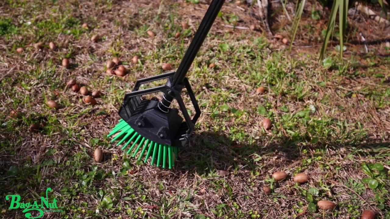 Nut Picker Upper - Stab-A-Nut Harvester