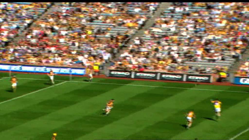 Kilkenny vs Wexford Leinster Hurling Final 2008