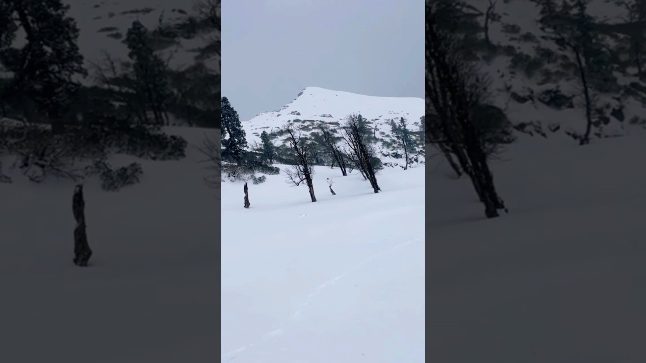 Winter Trek Kedarkantha #wintertrek #snow #snowfall #summit #punjabisong #love #treking #nature