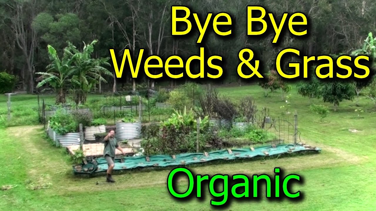 Preventing & Getting Rid of Weeds/Grasses in Vegetable Garden Beds