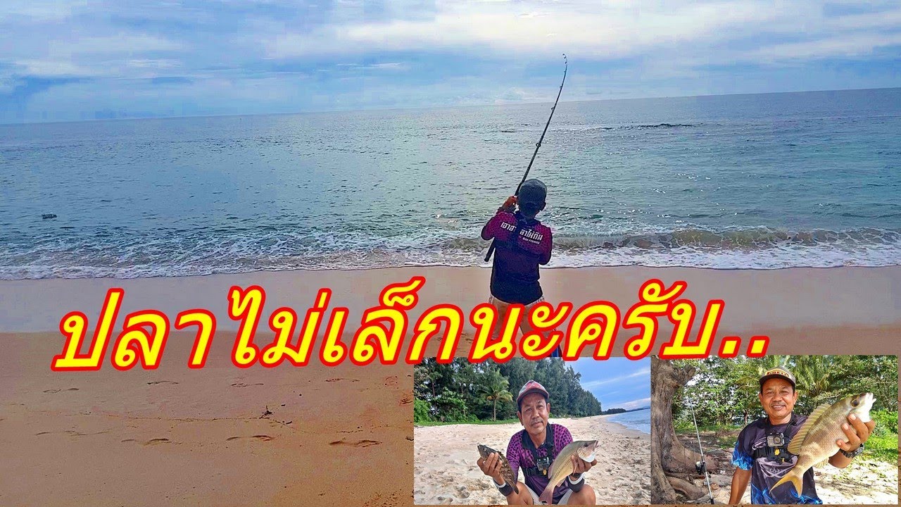 ตกปลาชายฝั่งด้วยคัน 10 ฟุต เจอปลาไซส์ใหญ่ ไซส์สวย