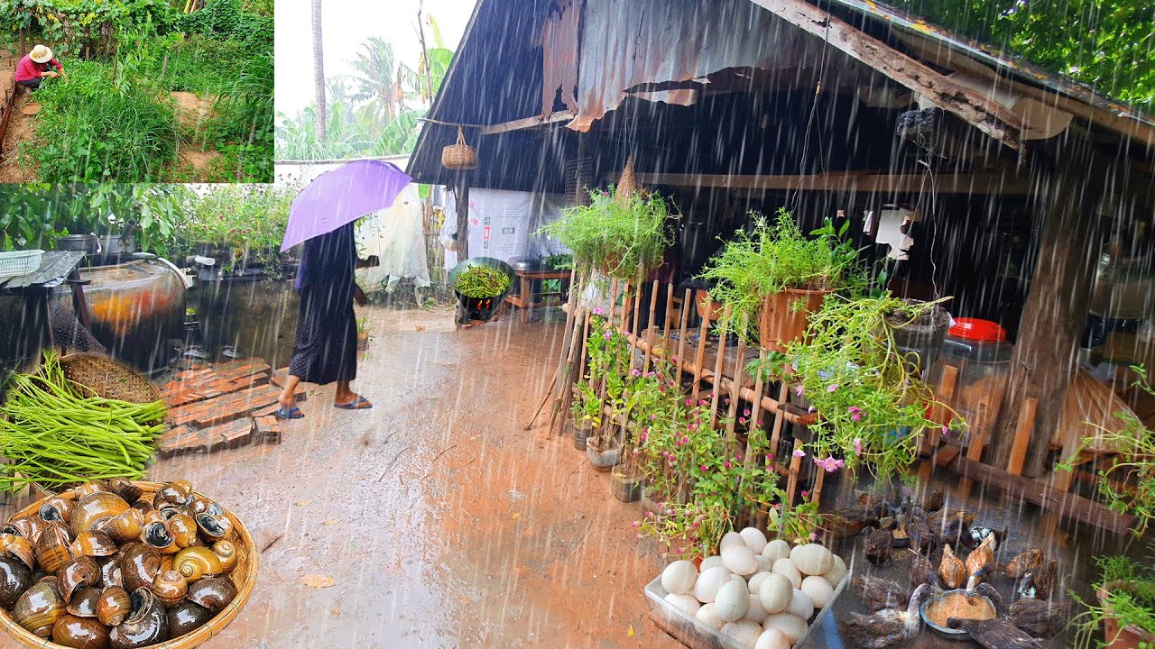 Country cooking on rainy day, Village life with comfort food, Countryside vlog