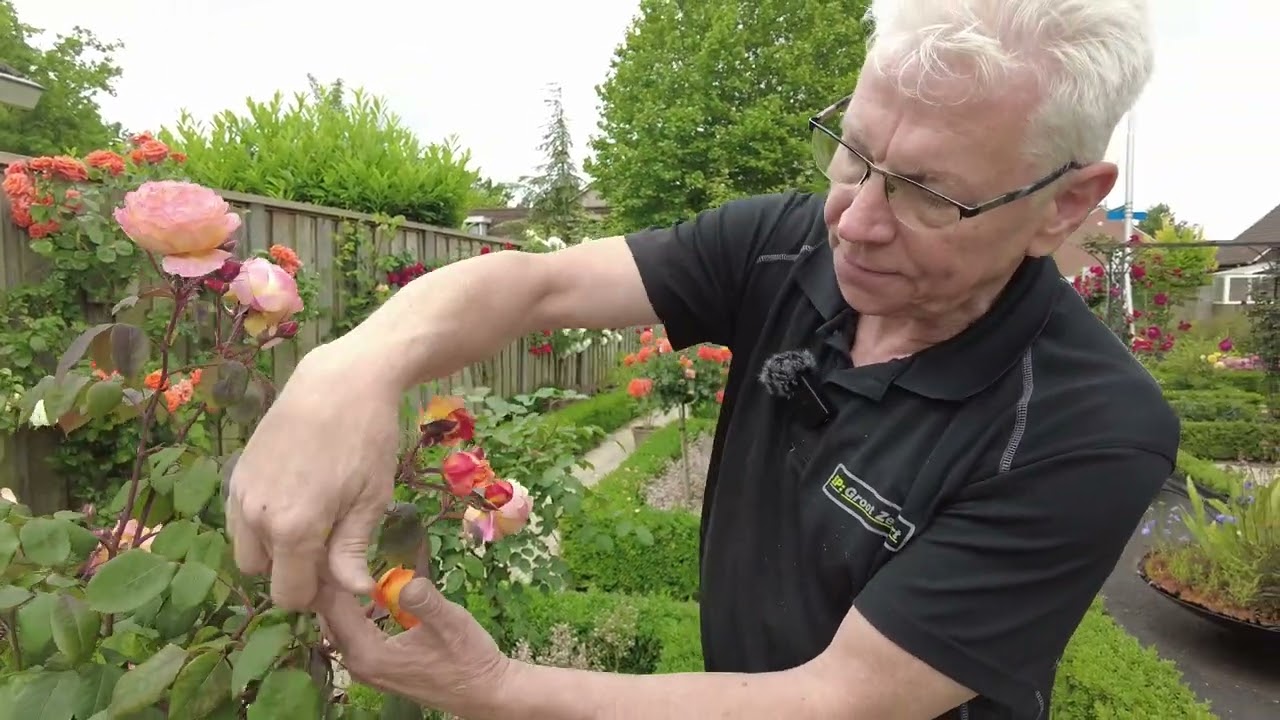 De Rozentuin van Andre Groot Zevert uit Groenlo