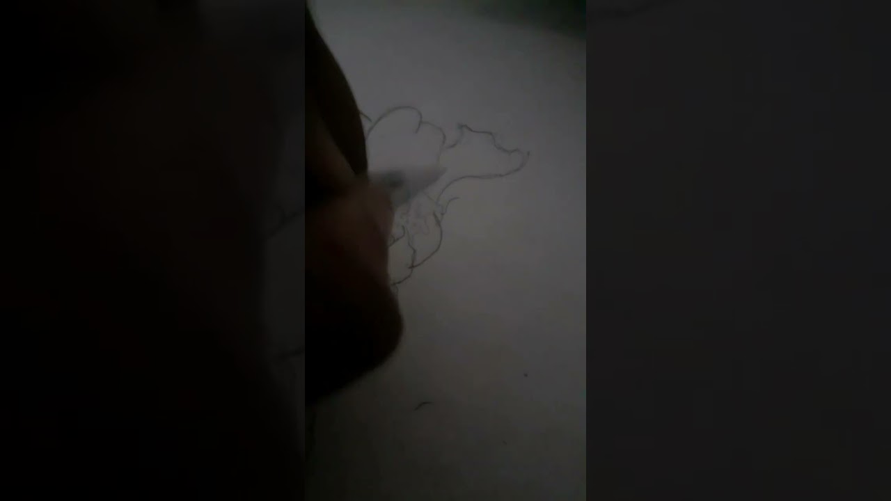 Flower Process Drawing 🌺❤❤🌺 Pen Shading ✍✍ My Life Art ❤❤  @rt Komal