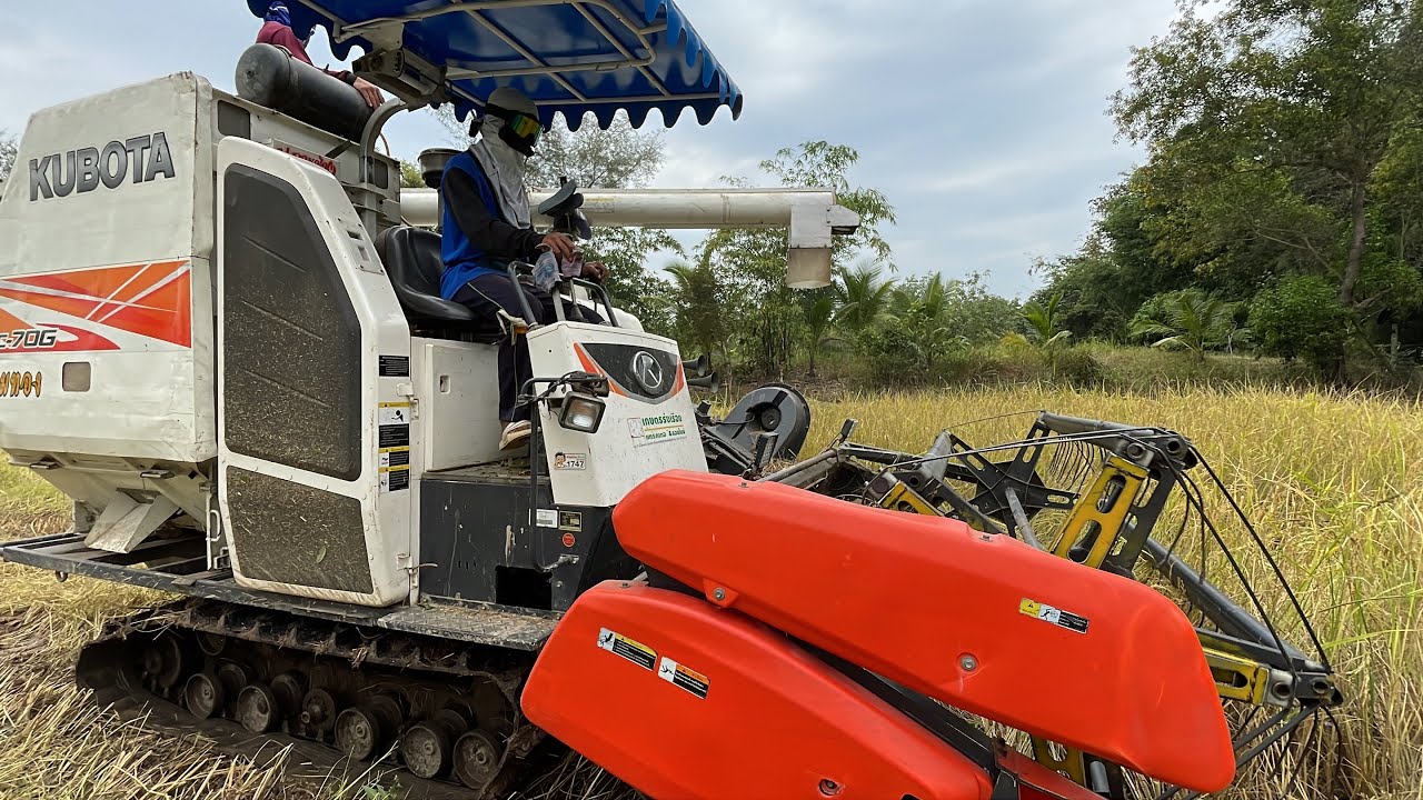 เหมือนคนขับจะเเรงกว่ารถ รถเกี่ยวข้าว Kubota dc70