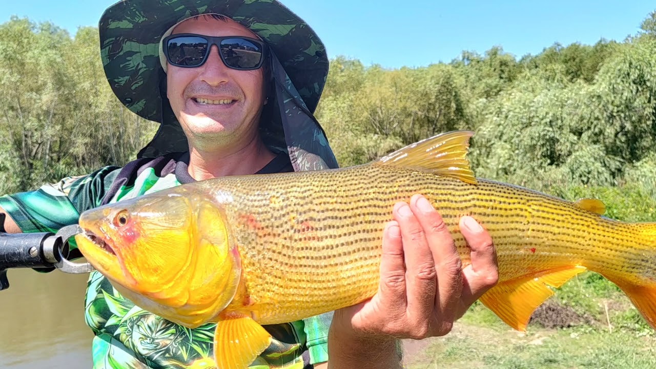 Pesca entre amigos 