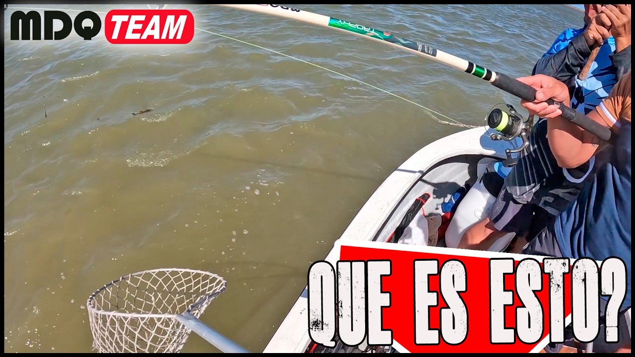 Nunca pense en pescar esto creiamos que era un lenguado pero al final era otra cosa