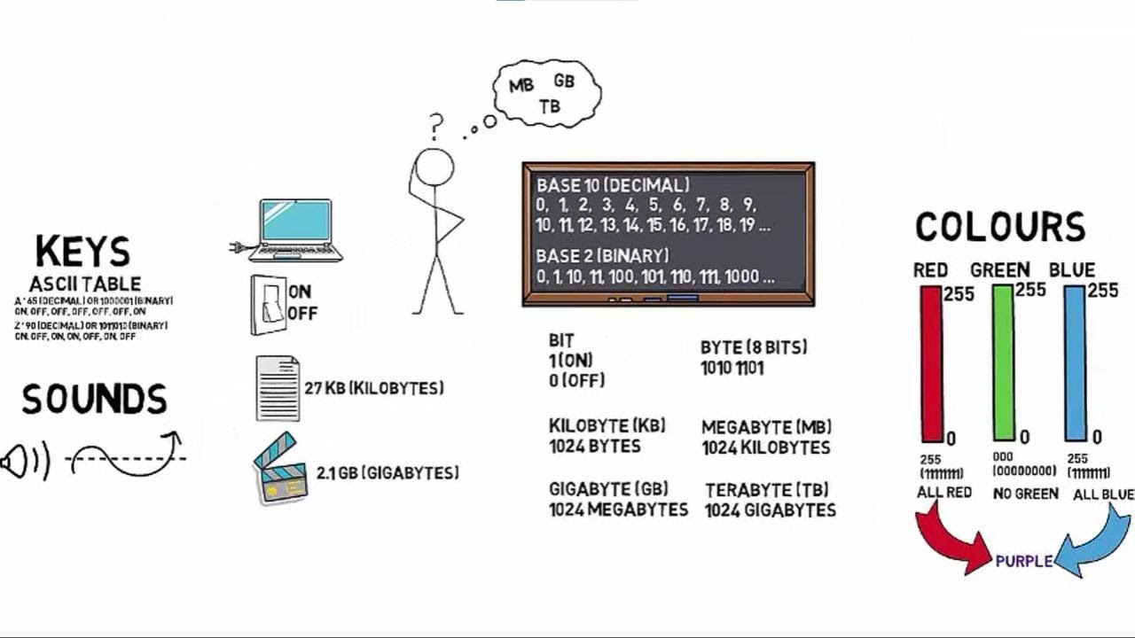Bits and Bytes