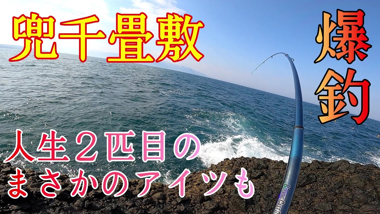 【兜千畳敷】ホッケとカレイを求めて投げ釣りで挑戦！魚影が濃く爆釣しました！