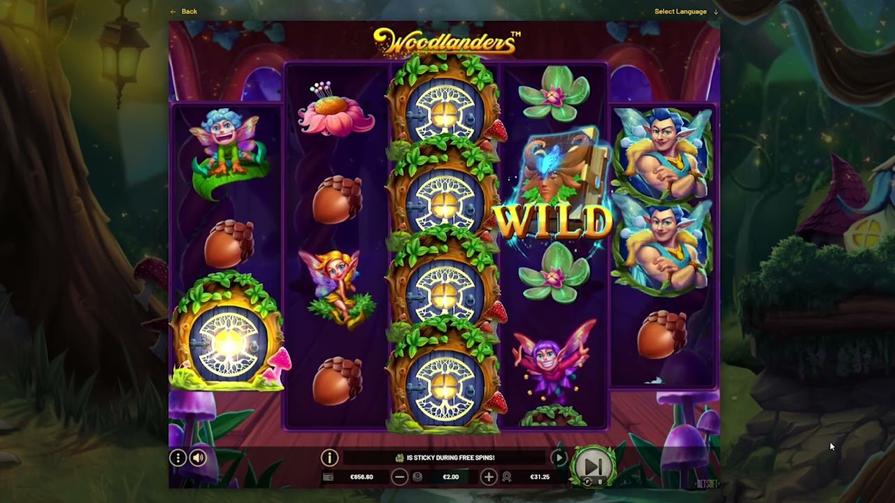 Woodlanders Slot Gameplay | Chill Spins or BIG WINS? (Betsoft)