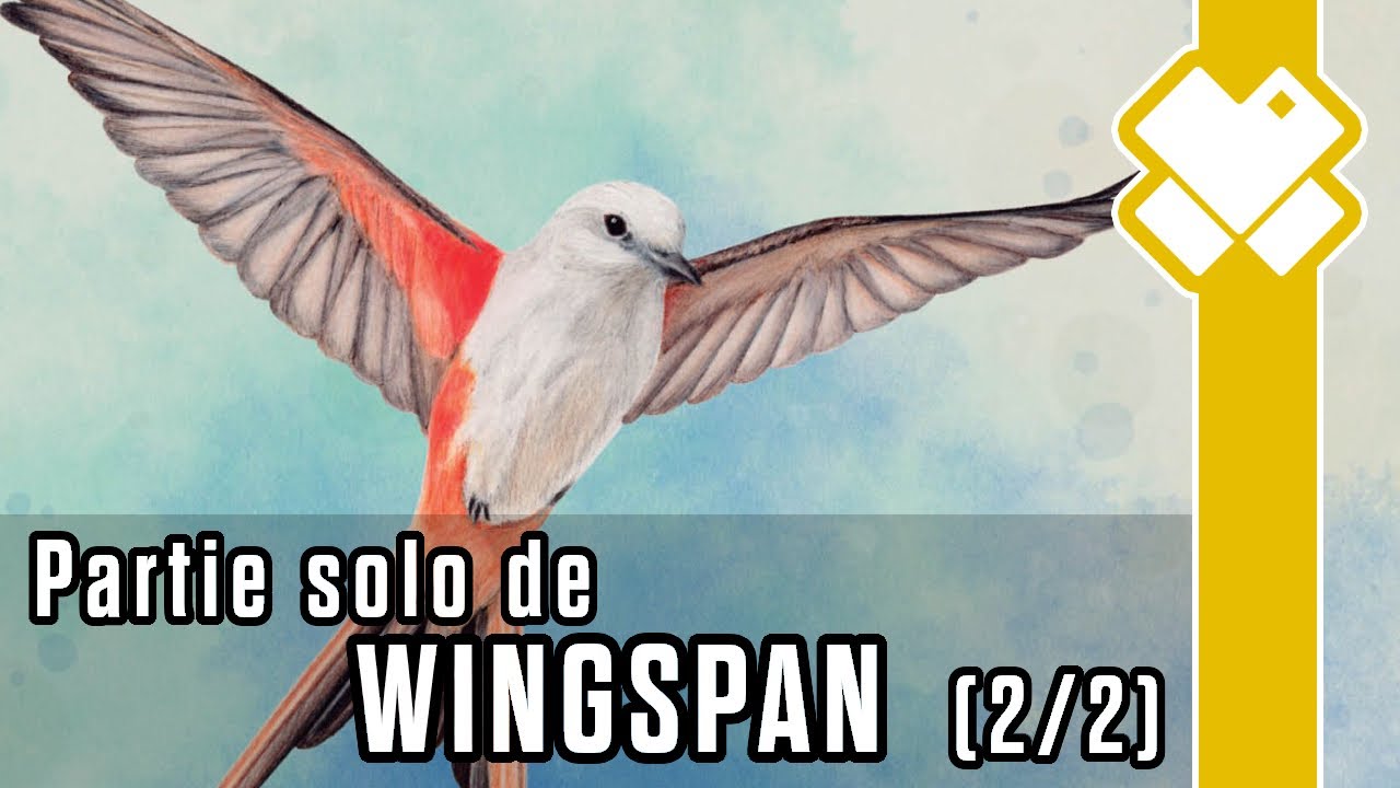 Wingspan : Premier vol en solo (suite et fin de la partie)