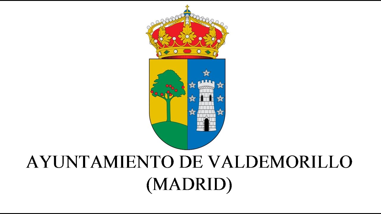PLENO EXTRAORDINARIO VALDEMORILLO 28/01/2025