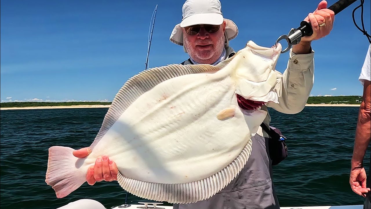 Monster Fluke (Flounder) Released Fishing Near Beach - 20 Keeper Limit!