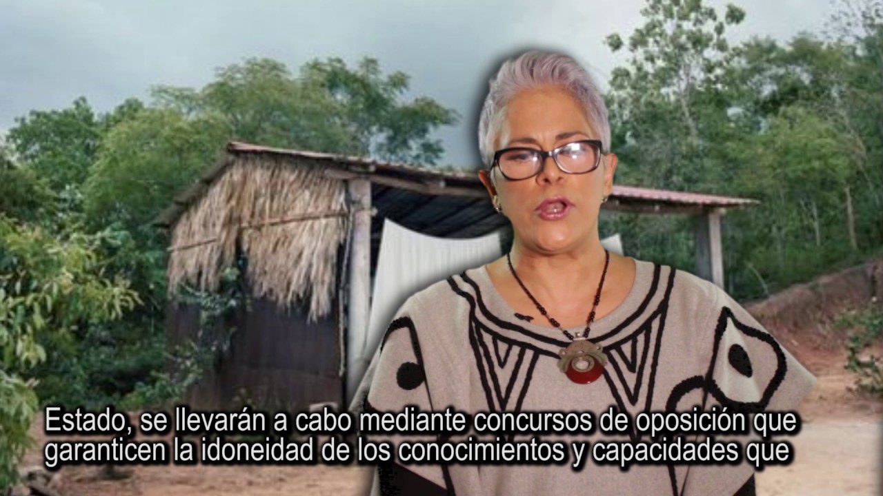 ARTÍCULO 3 (I parte) de la Constitución Política de los Estados Unidos Mexicanos. E. León
