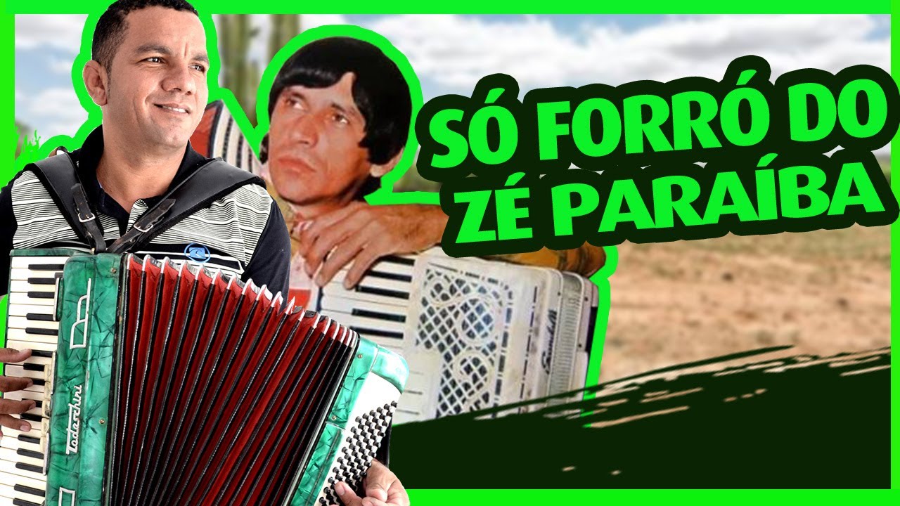JOSIVALDO DO ACORDEON - SÓ FORRÓ DO ZÉ PARAÍBA [ INSTRUMENTAL]
