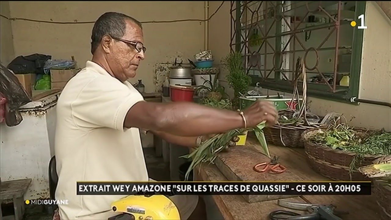 Extrait Wey Amazone 