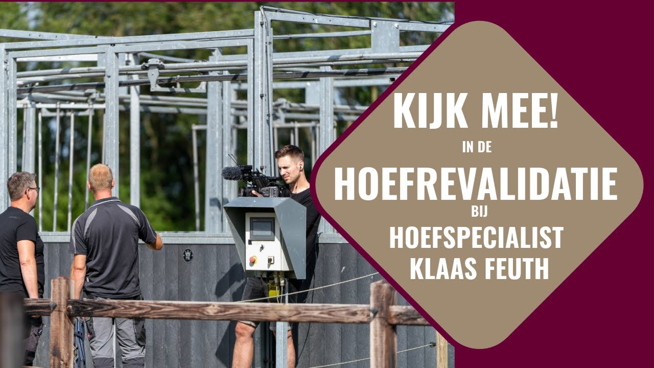 Rondleiding in Actieve Paardenhuisvesting voor Hoefrevalidatie | Hoefspecialist Klaas Feuth