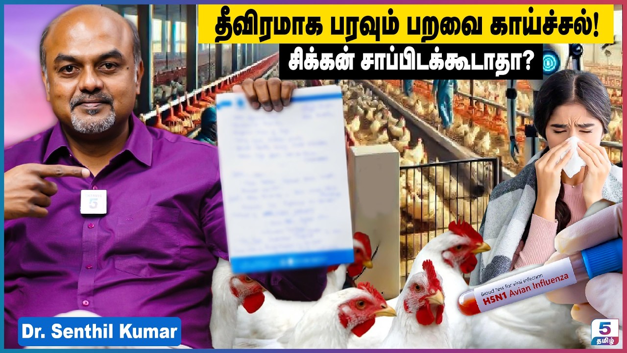 Bird Flu Alert: தீவிரமாக பரவும் பறவை காய்ச்சல்! சிக்கன் சாப்பிடக்கூடாதா? H5N1 | Dr Senthil Kumar