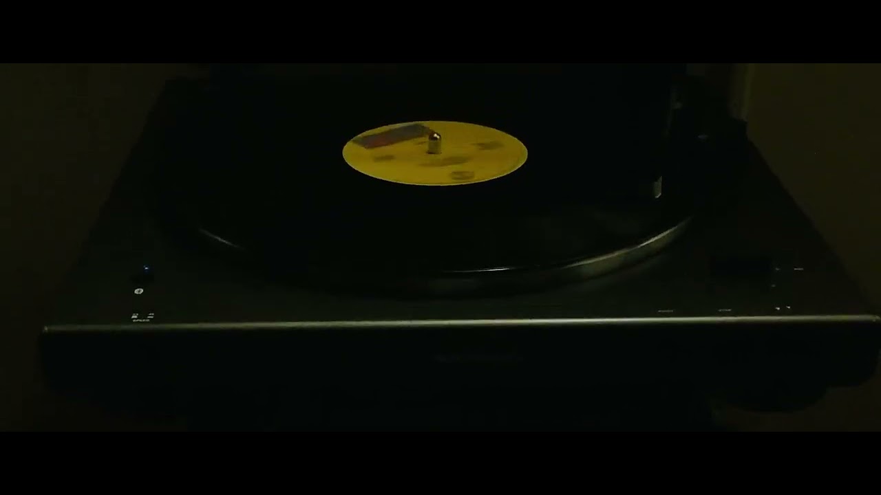 Dino- 24/7