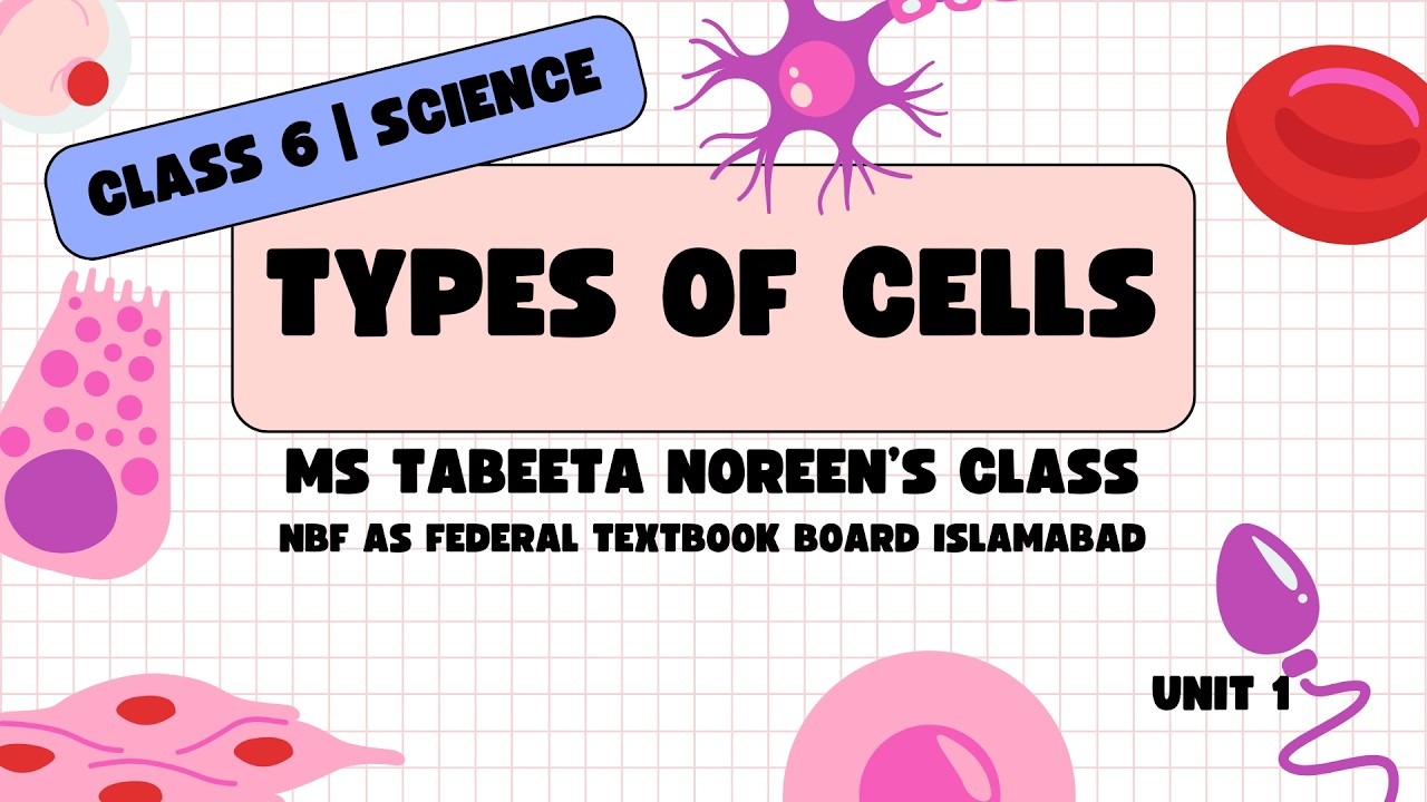 Types of Cell | Class 6 Science | Plant Cell vs Animal Cell Explained | FBISE